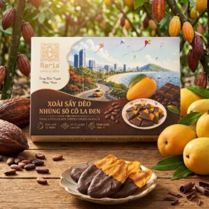 Xoài sấy dẻo nhúng sô cô la đen